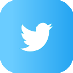 Twitter Icon